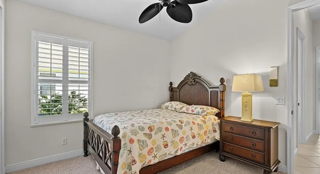 564-Gossamer-Wing-12