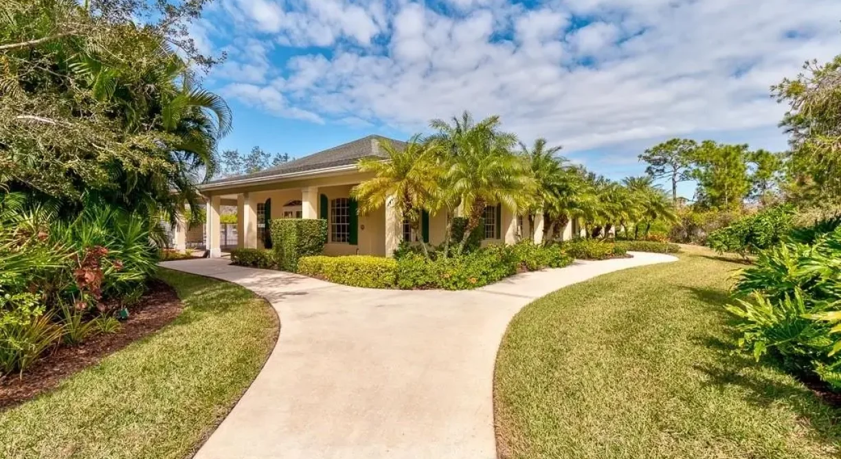 564-Gossamer-Wing-Am1