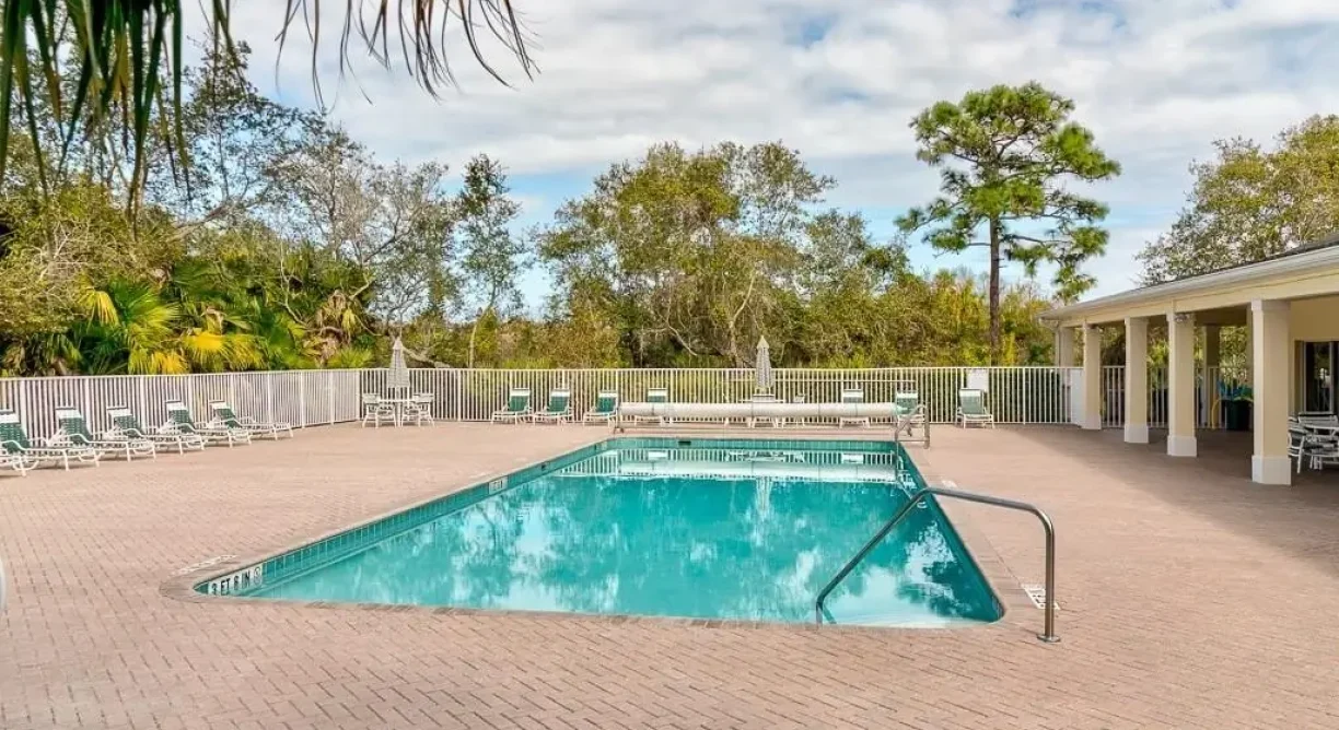 564-Gossamer-Wing-Am2