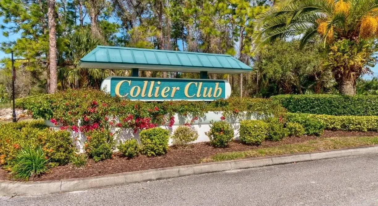 564-Gossamer-Wing-Am5